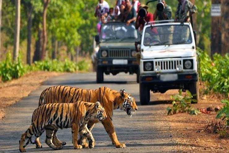 Nainital Mukteshwar with Corbett national park tour package from Varanasi